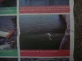 Lake Powell